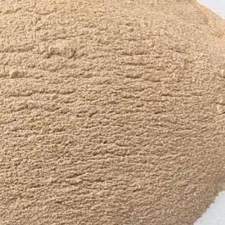 Bacillus licheniformis